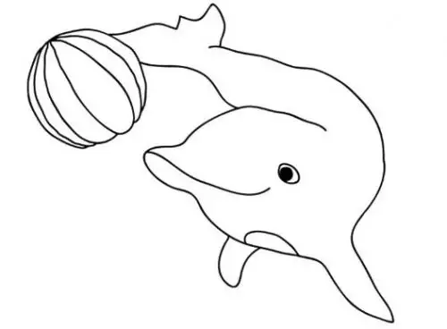 דף צביעה דולפין