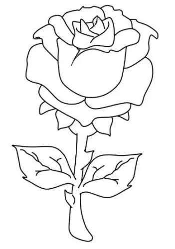 דף צביעה ורד אהבה