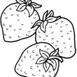 דף צביעה תותים