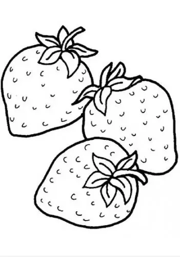 דף צביעה פירות תותים