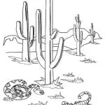 דף צביעה קקטוסים במדבר