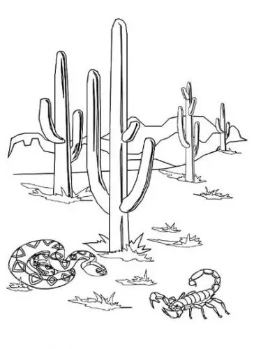 דף צביעה קקטוסים במדבר